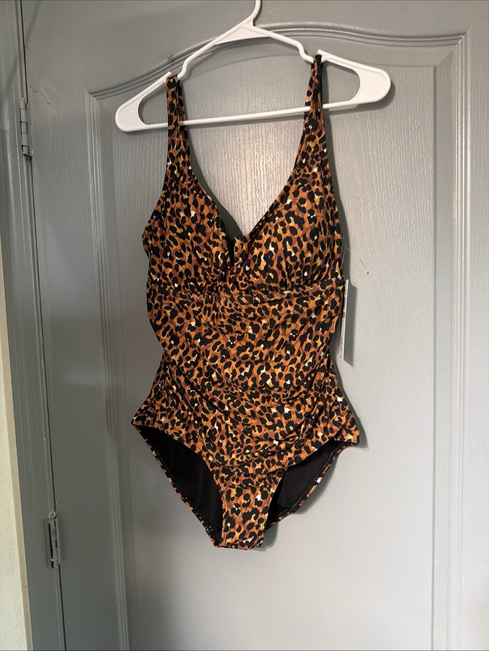 Anne Cole Leopard Print One-Piece Swimsuit in Brown and Black
